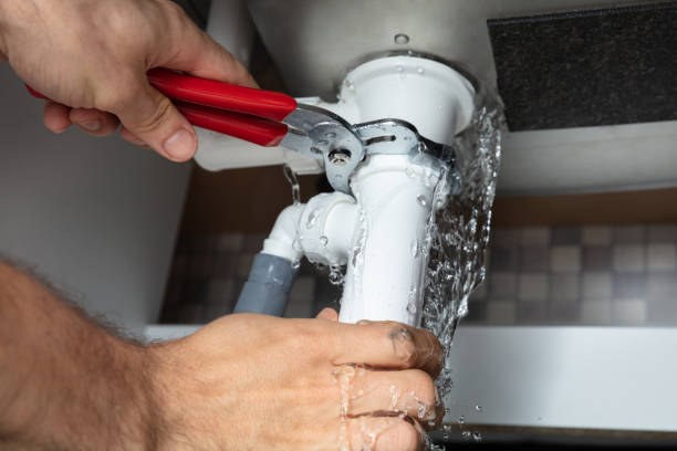 Best Sewage cleanup and water damage restoration  in Wewahitchka, FL