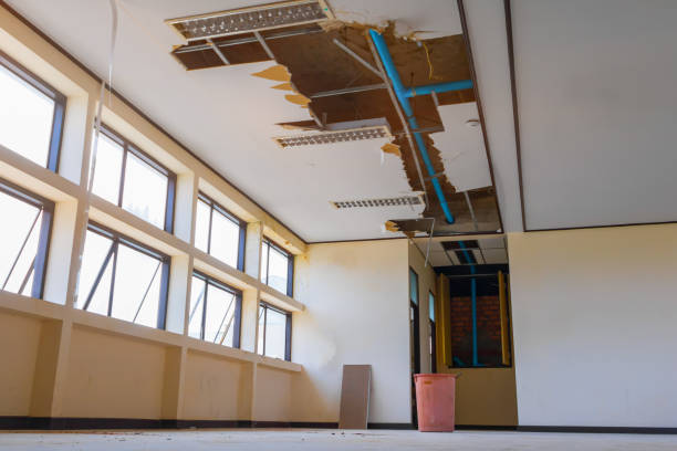 Best Flood damage cleanup  in Wewahitchka, FL
