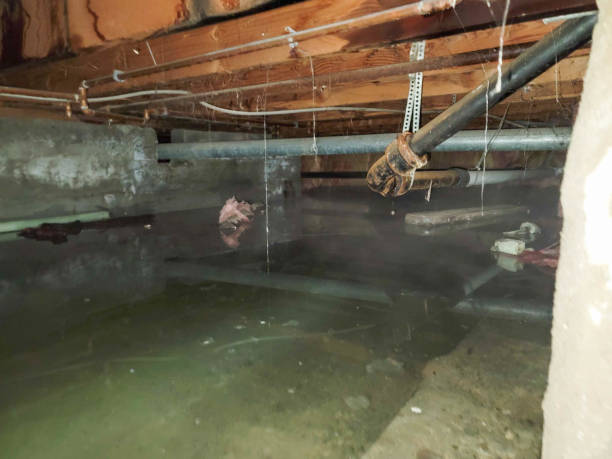 Water damage restoration process in Wewahitchka, FL