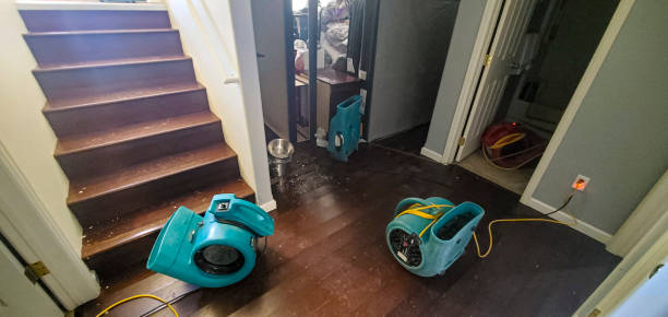 Best Water damage restoration cost  in Wewahitchka, FL