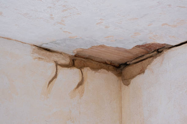Best Commercial water damage restoration  in Wewahitchka, FL