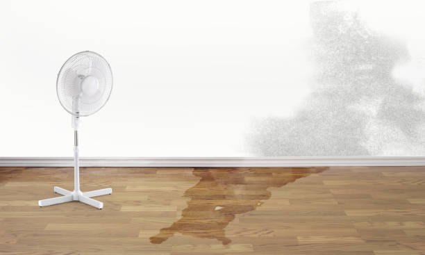 Best Emergency water damage restoration  in Wewahitchka, FL