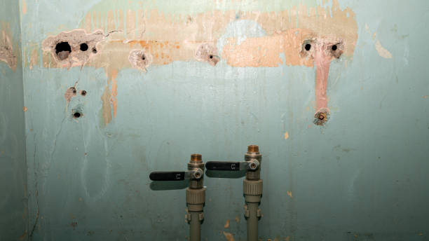 Best Water damage restoration process  in Wewahitchka, FL