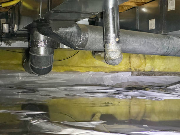 Best Professional water damage repair  in Wewahitchka, FL