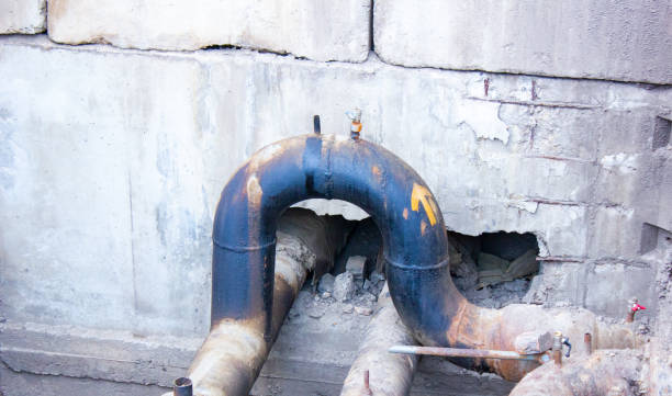 Best Water damage contractors near me  in Wewahitchka, FL