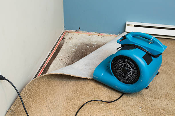  Wewahitchka, FL Water damage restoration Pros